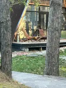 Магия леса - 52