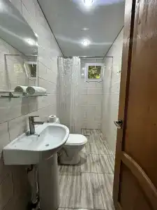 Камелия - 34
