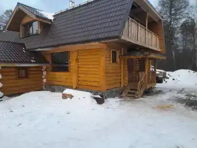 Львиное сердце - 12