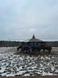 Капитанский Остров 57 - 72