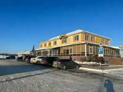 Золотой карп - 9