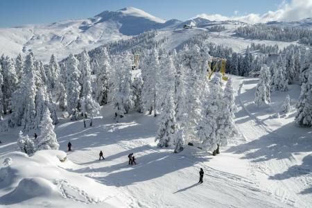 Juras Kervansaray Uludag - 46