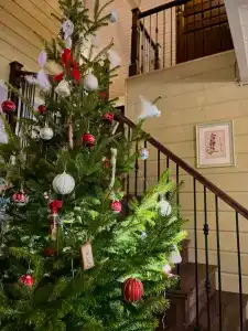 Сирин дом - 14