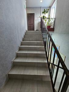 Фасоль - 10