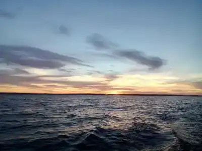 Курмойла - 16