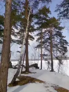 Красный камень - 5
