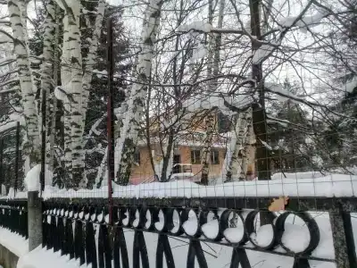 Дубравушка - 15