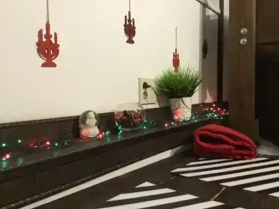 Berloga House - 4
