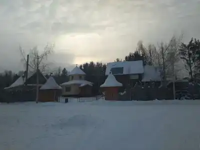 Живица - 41