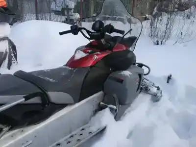 Снегоходия - 5