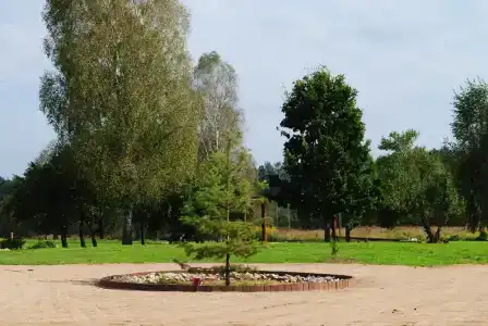 Емельяново - 65