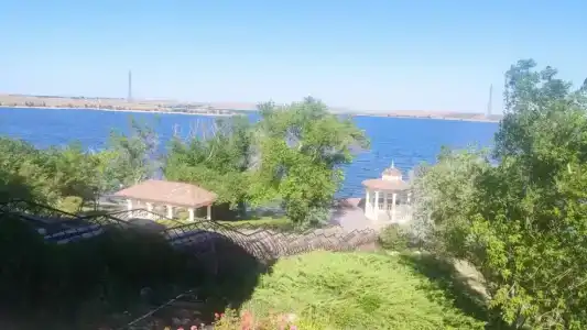 Коктем - 0