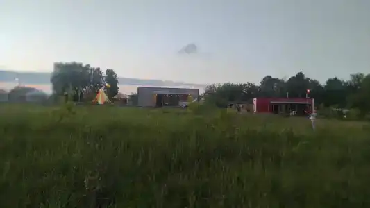 Смородина - 84