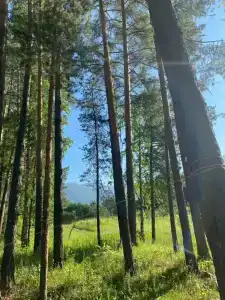 Кемпинг у Катуни - 10
