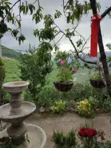 у тёти Ханий - 9