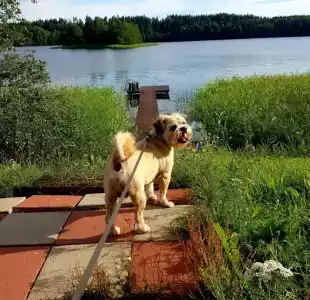 Семейный домик у озера - 14