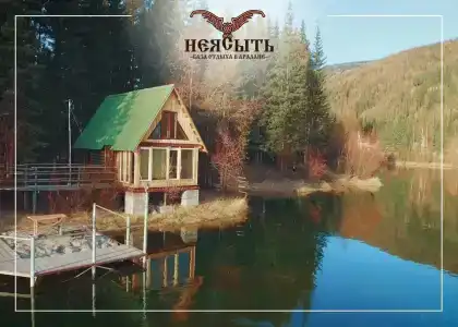 Неясыть - 11