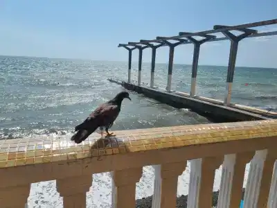 Сон у Моря - 21