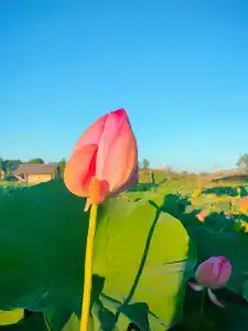 Хуторок - 28