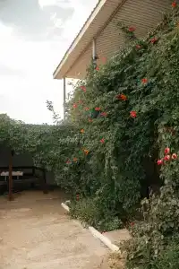 Уютный уголок - 7