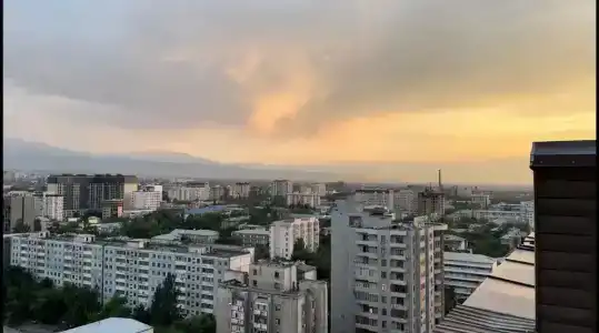 Terrasse & Bar - 6