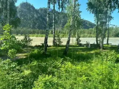 ЭКО деревня - 2