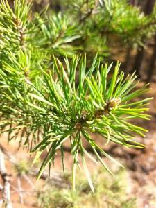 Байкал Вью - 73