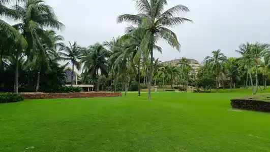 Sheraton Sanya Yalong Bay Resort - 19