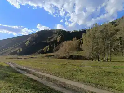 Дикое место - 5