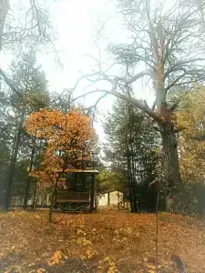 Пчелинцево - 92