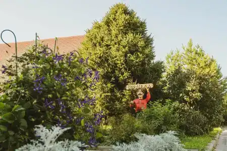 Эко Суздаль Inn - 30