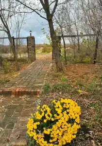 Васильевка - 27