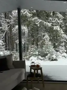 Лес да Вода - 0