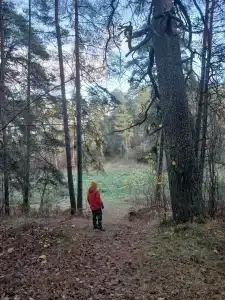 Пралеска - 18