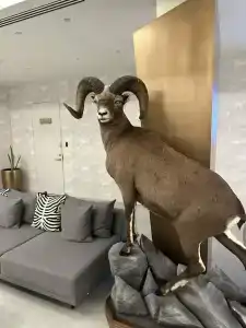 Гранд Усадьба - 25