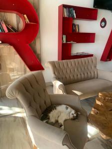 Blue Wave Suite - 74