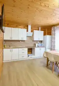 Dмитриевский - 46