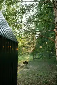 Спа в Лесу - 1