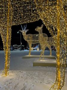 Меридиан - 57