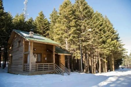 Uludag Orman Koskleri - 47