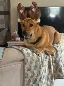 Ksanta's House - 5