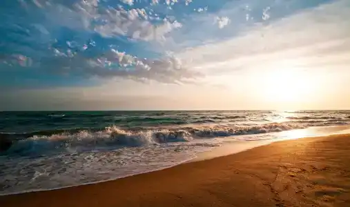 Морелофт - 8