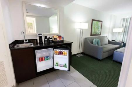 Embassy Suites by Hilton- Lake Buena Vista Resort - 48