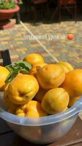 33 Удовольствия - 20