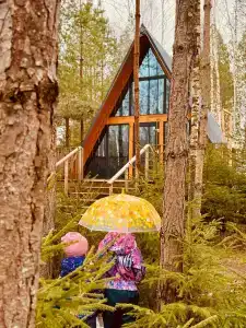 Лесная сказка - 3