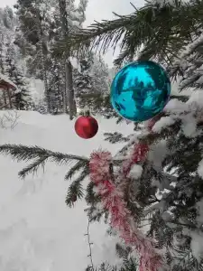 Исток - 26