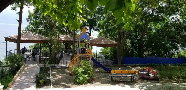Дельфин - 4