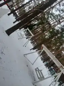 Ёлочка - 12
