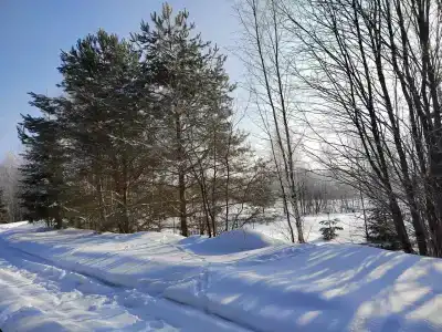 Алексеевское - 31