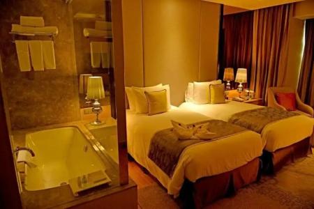 Radisson Blu Jaipur - 55